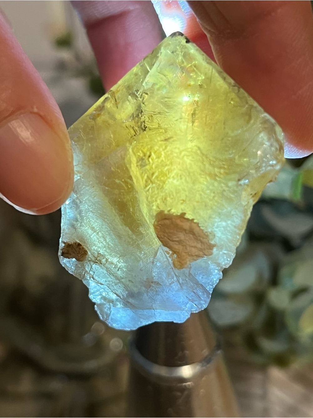 Blue Core - Yellow Beijing Fluorite Floater